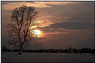 Frosty Night