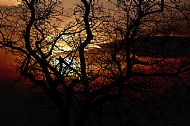 Silhouette