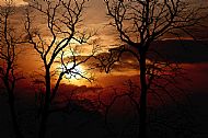Silhouette
