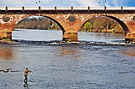 River Tay at Perth