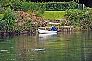 River Tay at Perth
