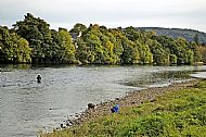 River Tay at Perth