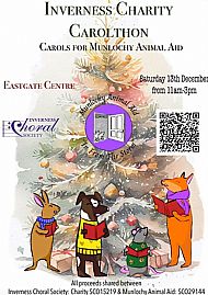 2025 Carolthon poster