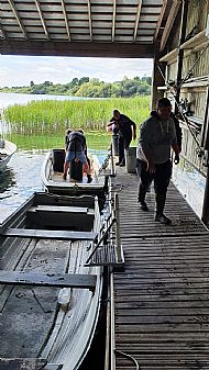 Stocking - August 2020