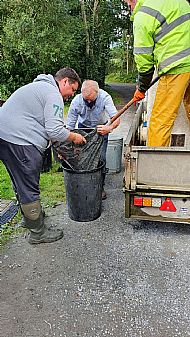 Stocking - August 2020
