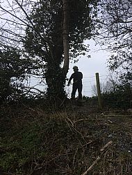 Our on-site Slovakian tree arborist Viliam