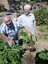 The First Crops