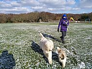 Julie on a chilly walk in Fairlight