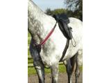 Dever - V check Breastplate