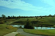 Greetham Valley