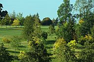 Greetham Valley