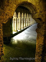 Iona Abby Arches