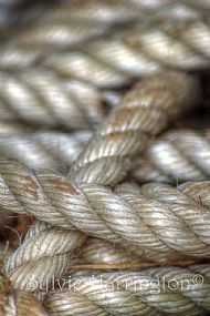 A Rope (in case)