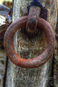 Boat with a Ring through its Nose