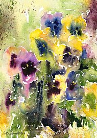 Esther Armstrong 'Pansies'