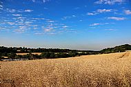 View of the Rib valley