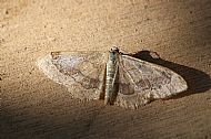 Riband wave