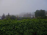 Misty may morning view looking towards Ermine Street