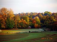 Wadesmill in autumn colours