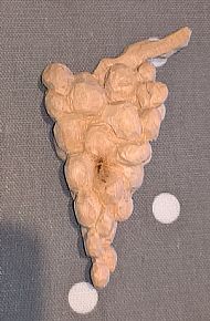 Grapes cut off