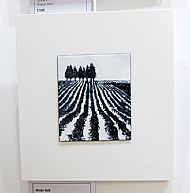 Winter Field
