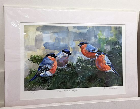 bullfinches by sonas maclean (gicle print)