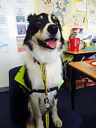 Bess in the Class Room