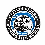 bdmlr logo