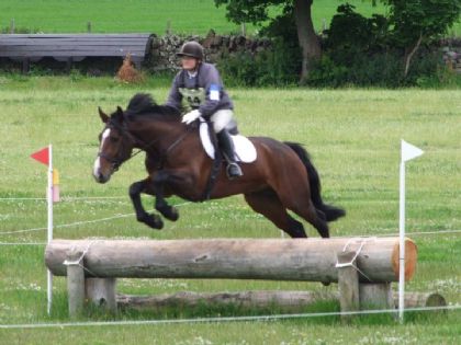 katie coward and benson at brechin