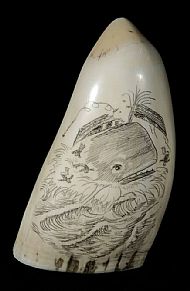 Scrimshaw