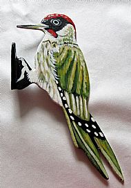 Green woodpecker
