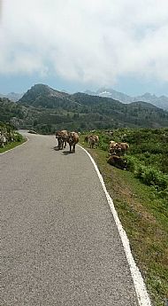 Not too many other road users!