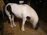 candy as the weight was falling off her 