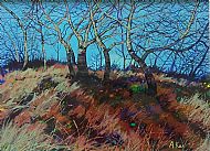 Sunlit Trees. Sold