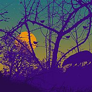 The Badger and the Sparrows