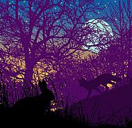 The Rabbit and the Fox