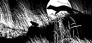 Stoat and frog b/w