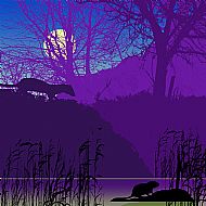 The Water Vole and the Weasel