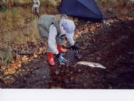 And releasing the catch