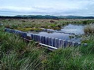 Plastic pile dam in peatland