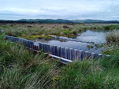plastic pile dam in peatland