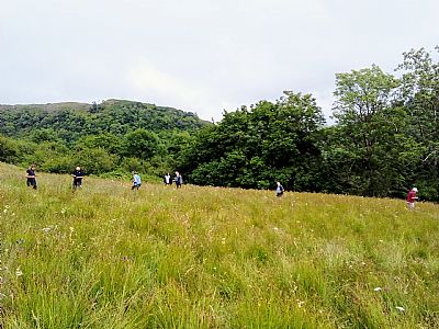 hunting in a field
