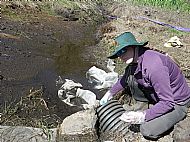 Water Sampling