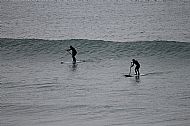 The local beach wave
