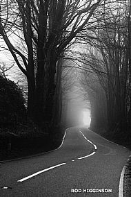 Rod Higginson