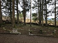 Blarbuie Woodland