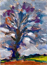 Winter Beech '25