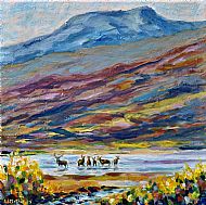 Cooling-off, Loch Assynt