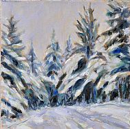 Deep Snow Mt Eagle