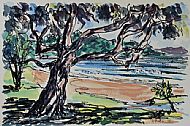 Wooleys Bay, Matapouri